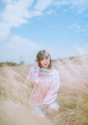 《扫黑·决不放弃》电影在线观看_720完整在线观看